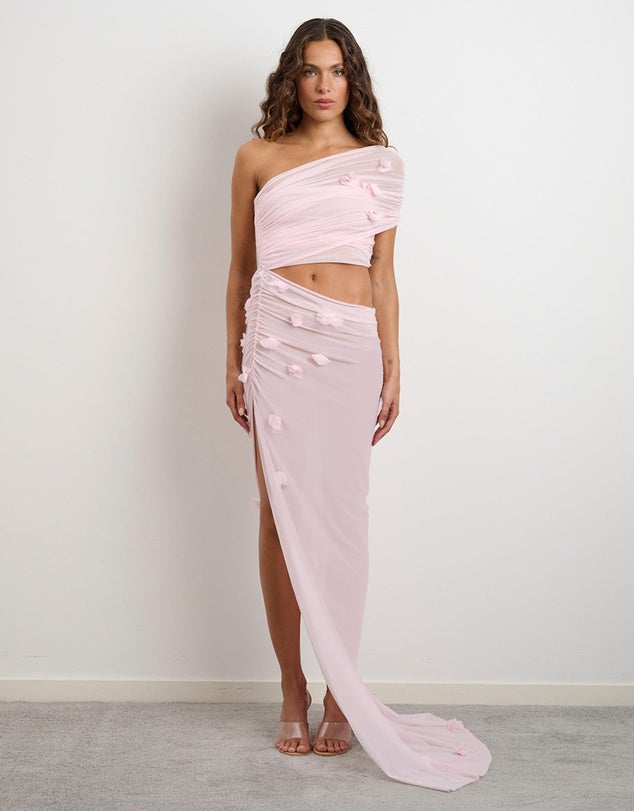 Hire DŽO Floral Lara Maxi Dress in Light Pink